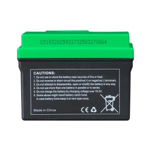 Аккумулятор FUBAG li-ion 3Ah для инверторного генератора TI 11000 A ES (арт. 646211) купить в Оренбурге